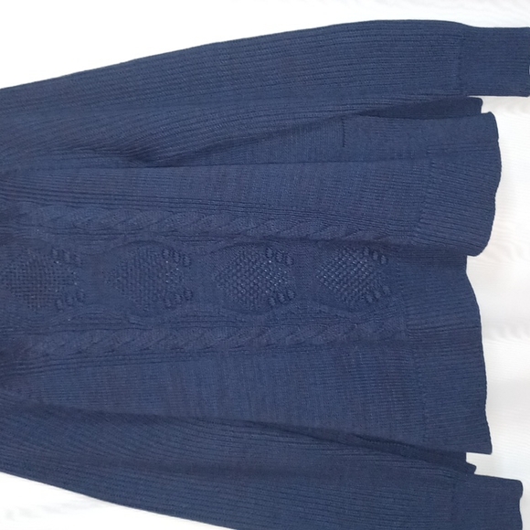 GAP Women's Blue Turtle Neck Cable Knit Sweater - Picture 4 of 9